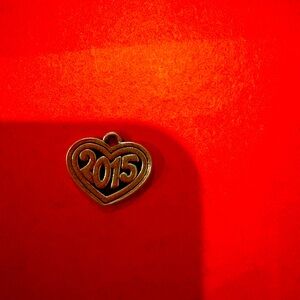 James Avery 2015 charm